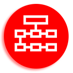 Organización